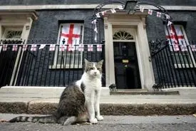 اولین گربه دیپلمات جهان! | گربه‌ای که شش نخست‌وزیر دید