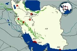 یک کارشناس نظامی: این حملات بیشتر نمادین است | طراحی  یک کمپین نظامی گسترده | حملات با تاریکی بیشتر می‌شود