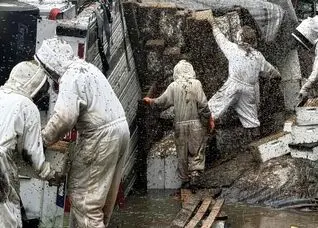 کامیون واژگون شد، دو میلیون زنبور فرار کردند!