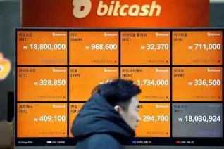 ۴۰ میلیارد دلار بیت‌کوین به طور «تصادفی» بخشیده شد