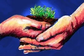 یافته عجیب دانشمندان؛ خاک‌بازی برای سلامتی مفید است
