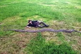 رونمایی از بلندترین مار پیتون جهان!