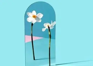 چرا خودشیفته‌ها همواره موفق‌تر هستند؟