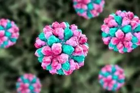 بازگشت کابوس کرونا | شیوع یک عفونت‌ ویروسی در جنوب چین