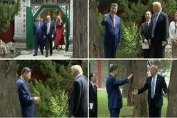 چگونه شی جین‌پینگ در یک پیاده‌روی، پوتین را پیش ترامپ لو داد!