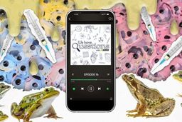 استفاده از قورباغه به عنوان تست بارداری!