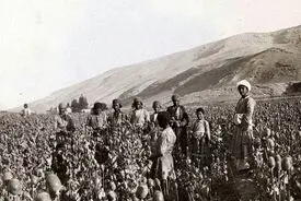 چه کسی به سلطنت خشخاش در ایران خاتمه داد؟ 