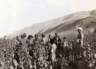 چه کسی به سلطنت خشخاش در ایران خاتمه داد؟ 