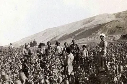 چه کسی به سلطنت خشخاش در ایران خاتمه داد؟ 