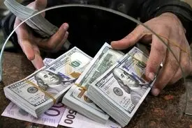 دلار چرا آرام نمی‌گیرد؟ | از کمبود ارز تا شوک‌های سیاسی در بازار ایران 