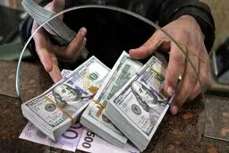 دلار چرا آرام نمی‌گیرد؟ | از کمبود ارز تا شوک‌های سیاسی در بازار ایران 