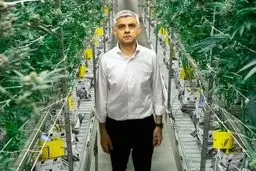 شهردار لندن می‌گوید مصرف «حشیش» نباید جرم باشد!