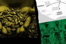 کارتل‌های شکلات: ظهور قاچاق کاکائو