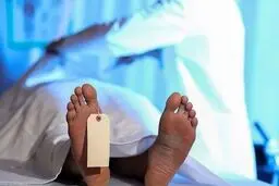 آمار ۱۲ هزار کشته حوادث اخیر از کجا آمد؟