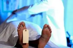 آمار ۱۲ هزار کشته حوادث اخیر از کجا آمد؟