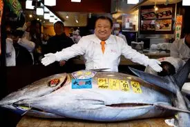 حراج ماهی تن؛ ۴۸۰ میلیارد تومان ناقابل