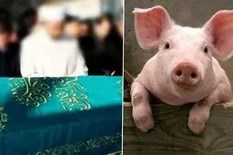 محاکمه مردی که به نمازگزاران کباب خوک داد