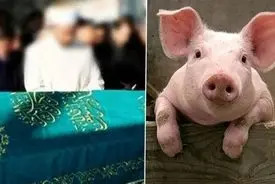 محاکمه مردی که به نمازگزاران کباب خوک داد