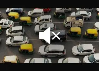 وقتی بوق زدن به سلامت و اقتصاد هند آسیب می‌رساند