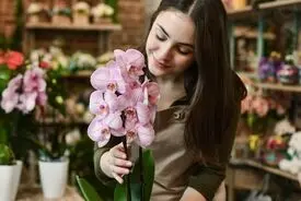 دنیای مرموز پرورش ارکیده | پشت پرده یک تجارت خوش‌بو | قمار روی گُل