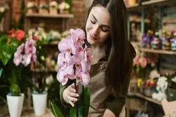 دنیای مرموز پرورش ارکیده | پشت پرده یک تجارت خوش‌بو | قمار روی گُل