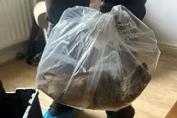 غوغای سیاسی برای پیدا شدن موش غول‌پیکر