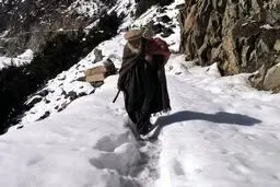 داستان واقعی یک معجزه یخی | جسدی که زمان را فریب داد