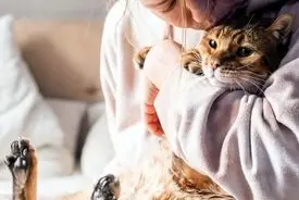 داشتن گربه چه تأثیری بر مغز شما دارد؟