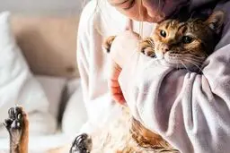داشتن گربه چه تأثیری بر مغز شما دارد؟
