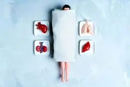 از غده میمون تا «خون جوان»: تاریخ عجیب پیوند عضو برای جاودانگی