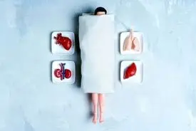 از غده میمون تا «خون جوان»: تاریخ عجیب پیوند عضو برای جاودانگی