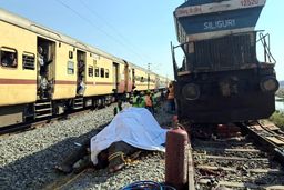 قطار سریع‌السیر هند هفت فیل را کُشت