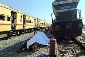 قطار سریع‌السیر هند هفت فیل را کُشت