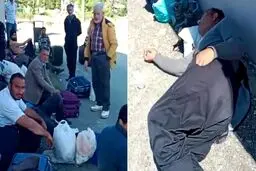 ضرب‌وشتم کارگران ایرانی چای در ترکیه پس از مطالبه دستمزد