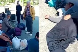 ضرب‌وشتم کارگران ایرانی چای در ترکیه پس از مطالبه دستمزد