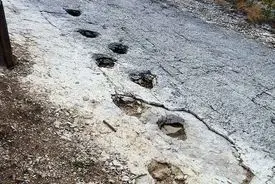 استراحت دایناسورها روی کوه