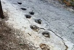 استراحت دایناسورها روی کوه