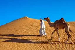 چرا عربستان با وجود بیابان‌های بی‌پایان شن وارد می‌کنند؟