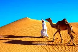 چرا عربستان با وجود بیابان‌های بی‌پایان شن وارد می‌کنند؟