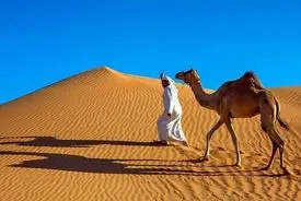 چرا عربستان با وجود بیابان‌های بی‌پایان شن وارد می‌کنند؟