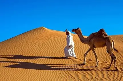 چرا عربستان با وجود بیابان‌های بی‌پایان شن وارد می‌کنند؟