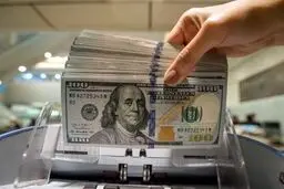 ترس از آینده ریال؛ روایت یک سیاست کم‌اثر | چرا دلار دولتی نتوانست ترمز بازار آزاد را بکشد؟