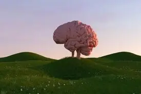 هر چه زمان بیشتری را صرف هیچ‌کاری نکردن کنید، برای مغز بهتر است!