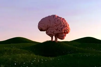 هر چه زمان بیشتری را صرف هیچ‌کاری نکردن کنید، برای مغز بهتر است!
