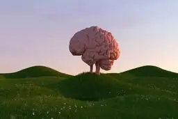 هر چه زمان بیشتری را صرف هیچ‌کاری نکردن کنید، برای مغز بهتر است!