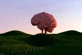 هر چه زمان بیشتری را صرف هیچ‌کاری نکردن کنید، برای مغز بهتر است!