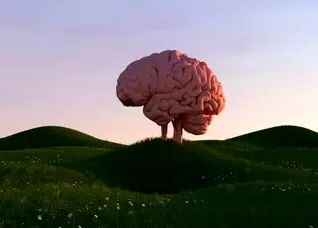 هر چه زمان بیشتری را صرف هیچ‌کاری نکردن کنید، برای مغز بهتر است!
