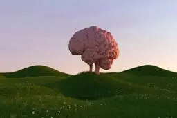 هر چه زمان بیشتری را صرف هیچ‌کاری نکردن کنید، برای مغز بهتر است!