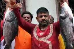 چرا سیاستمداران هندی با ماهی در حال مبارزات انتخاباتی هستند؟ | تبدیل ماهی به سلاح سیاسی