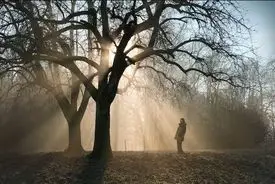 تمرینی که در دو هفته شما را امیدوارتر می‌کند